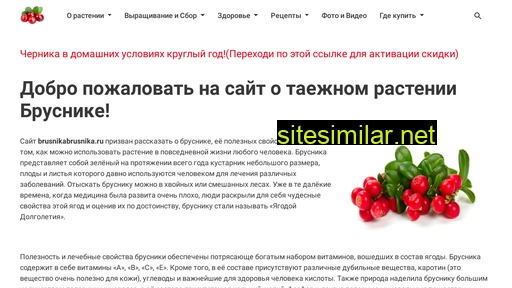 brusnikabrusnika.ru alternative sites