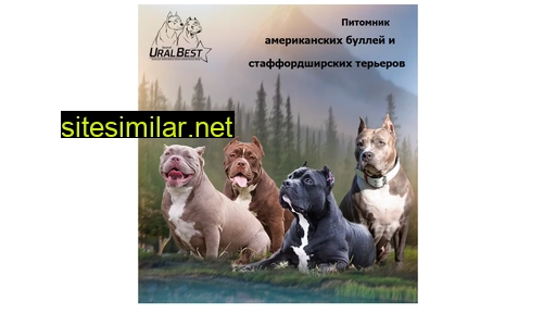 bully-kennel.ru alternative sites