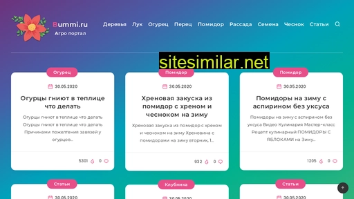 bummi.ru alternative sites