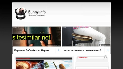 bunnyinfo.ru alternative sites
