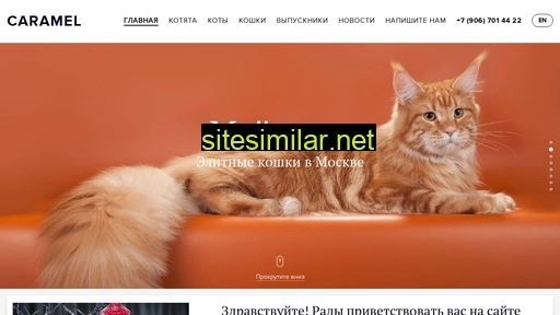 caramelcat.ru alternative sites