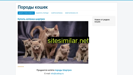 catbay.ru alternative sites