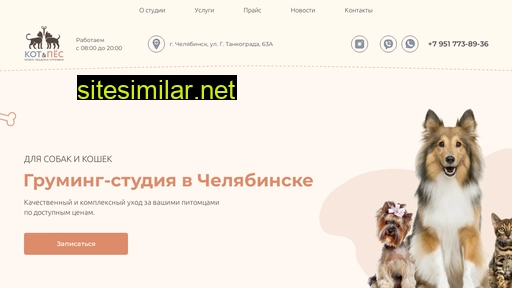 catdog74.ru alternative sites