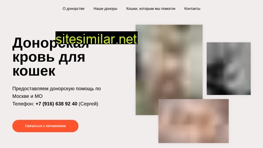 catdonor.ru alternative sites