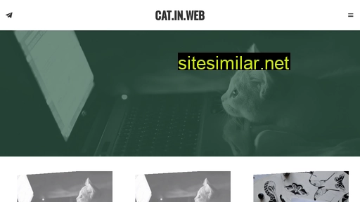 Cat-in-web similar sites