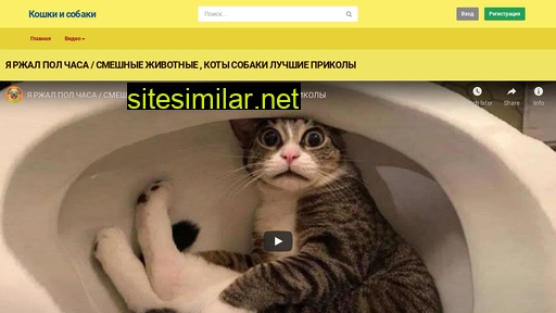 catsanddog.ru alternative sites