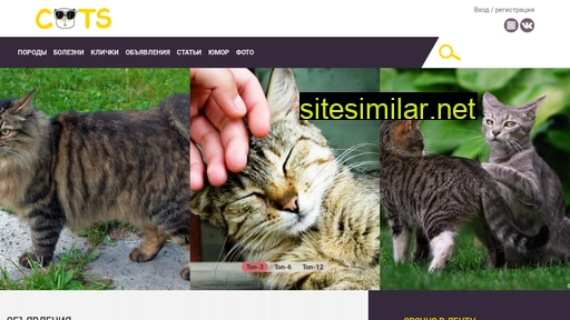 cats.ru alternative sites