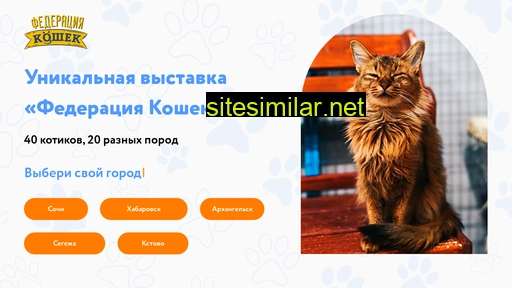 catsfed.ru alternative sites