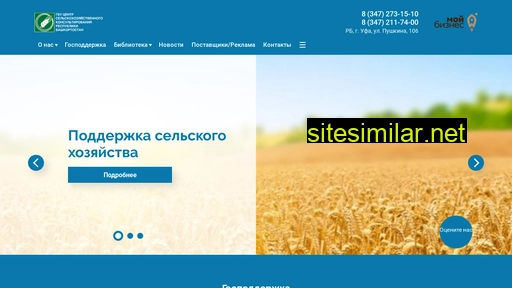 cckrb.ru alternative sites