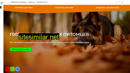 centerdog.ru alternative sites