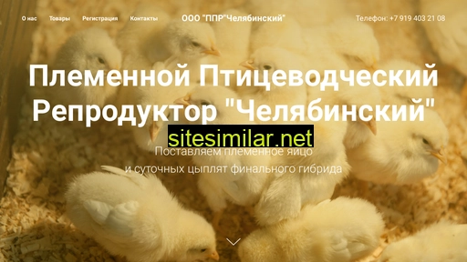 chelppr.ru alternative sites