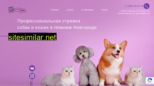 cheshircatnn.ru alternative sites