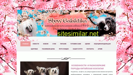 Chinese-dog similar sites