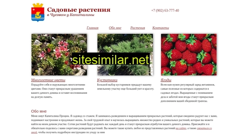 chus59.ru alternative sites