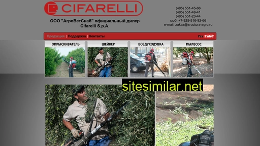 Cifarelli-it similar sites