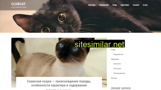 clubcat.ru alternative sites