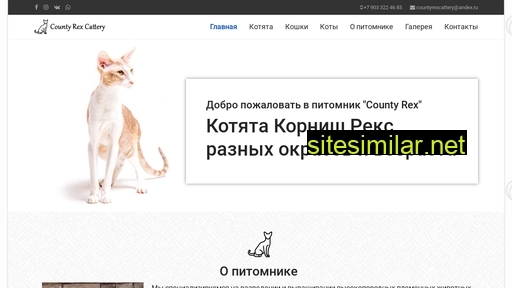 countyrex.ru alternative sites