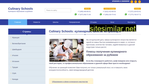 culinaryschool.ru alternative sites
