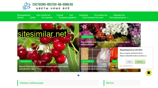 cvetochki-rostov-na-donu.ru alternative sites