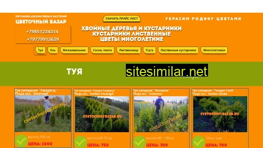 Cvetochniybazar similar sites