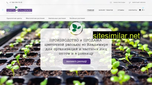 cvety-vladimir.ru alternative sites