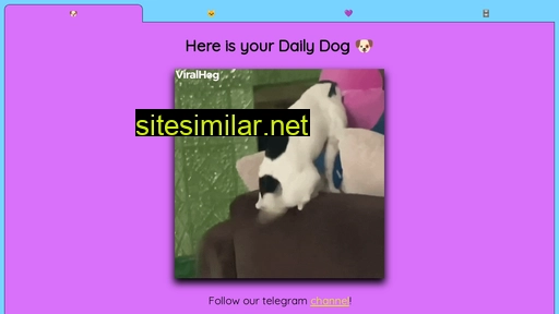 Daily-pet similar sites