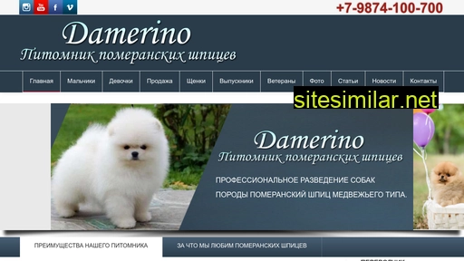 damerino-spitz.ru alternative sites