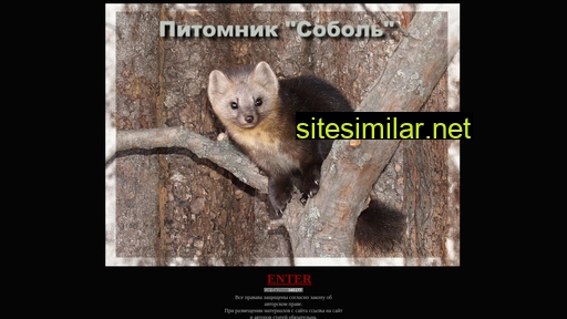 dck-sobol.ru alternative sites