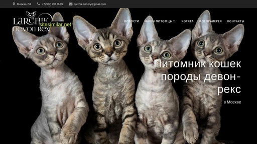 devonrexcat.ru alternative sites