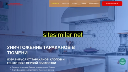 dez-sluzhba72.ru alternative sites