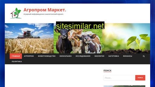dg-market.ru alternative sites