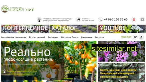 dikmir.ru alternative sites