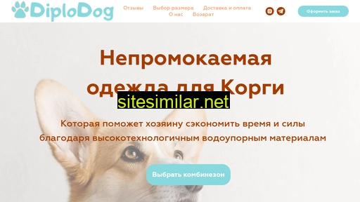 diplodog.ru alternative sites