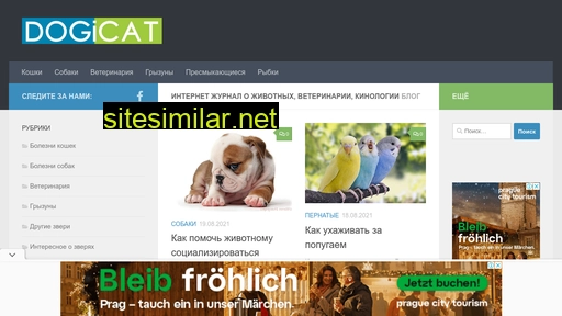dogicat.ru alternative sites