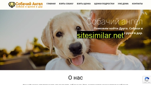 dog-angel.ru alternative sites