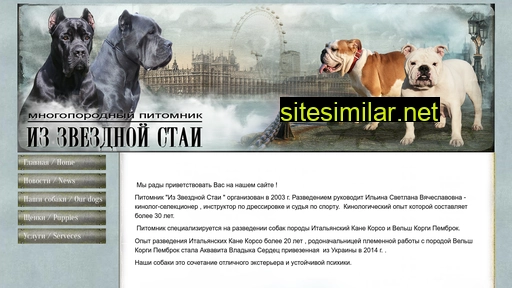dogstaya.ru alternative sites