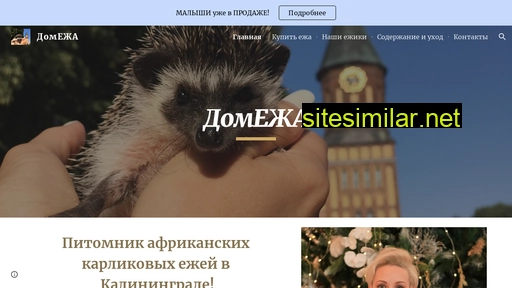 dom-eza39.ru alternative sites