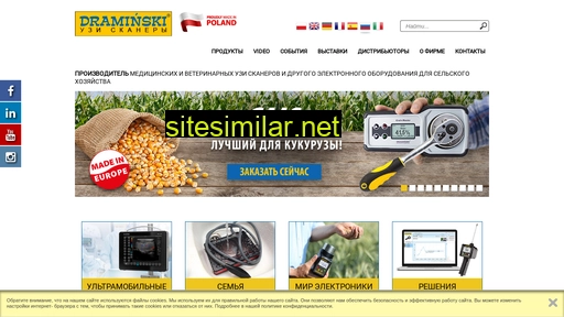 draminski.ru alternative sites
