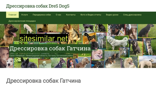 dresdogs.ru alternative sites
