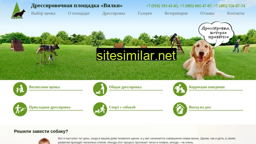 dressiroff.ru alternative sites