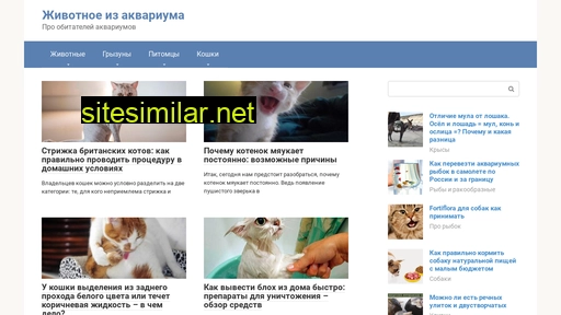 dshishatura.ru alternative sites