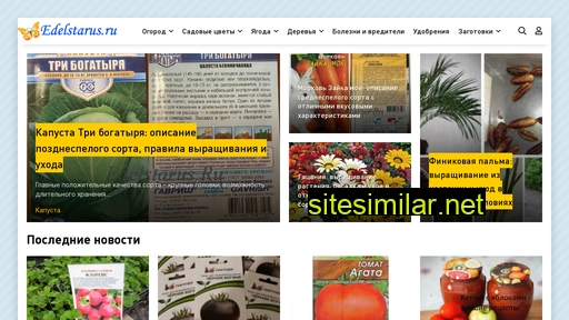 edelstarus.ru alternative sites