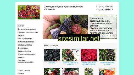 ejevika-collection.ru alternative sites
