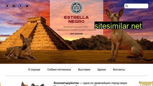 estrellanegro.ru alternative sites