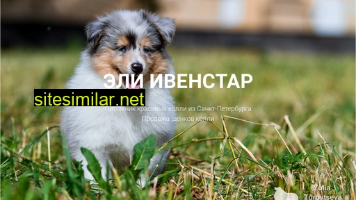 evenstar.ru alternative sites