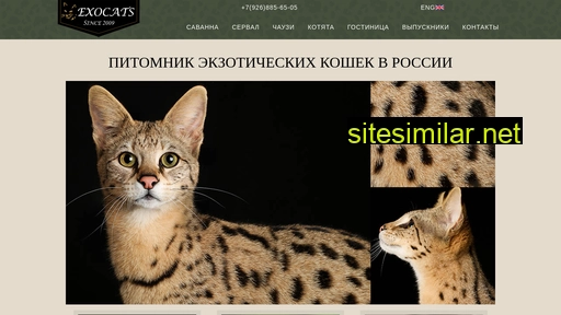 exocats.ru alternative sites