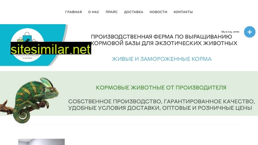 exofoodbel.ru alternative sites
