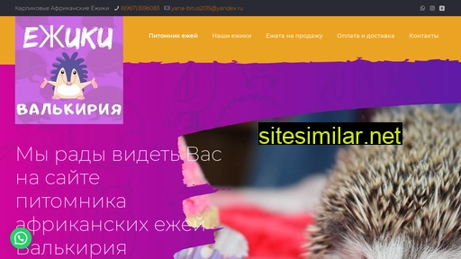 ezhikspb.ru alternative sites