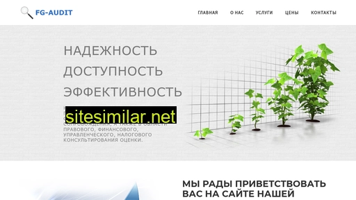 fg-audit.ru alternative sites