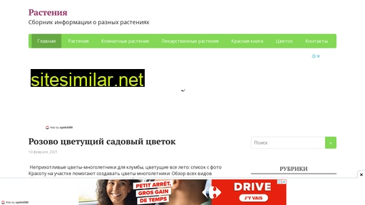 floramir.ru alternative sites